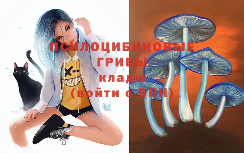 Галлюциногенные грибы Psilocybe  цена   Баймак 